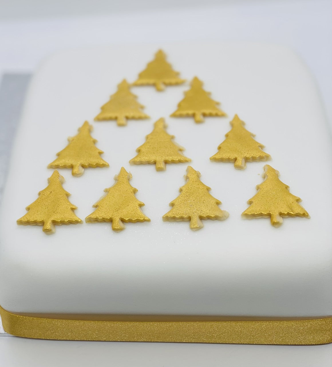 Decorated Luxury Christmas Cake